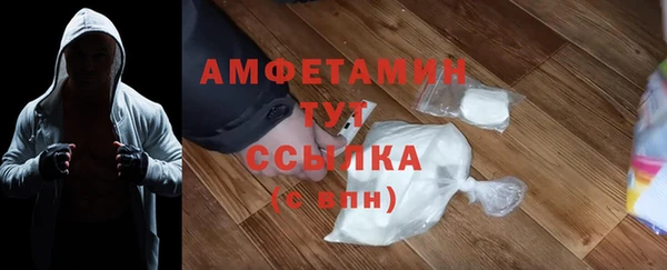 индика Дмитровск