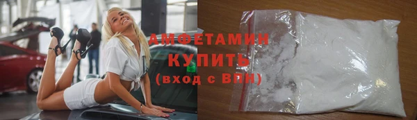 индика Дмитровск