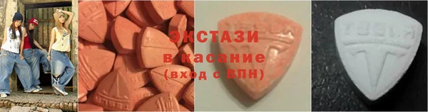 индика Дмитровск