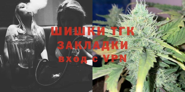 индика Дмитровск