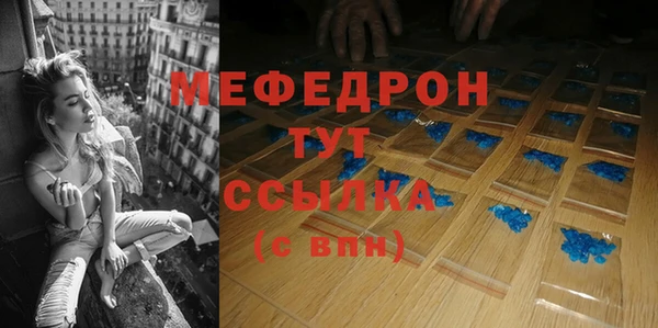 индика Дмитровск