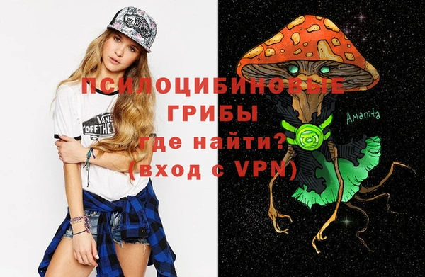 мдма Дмитриев