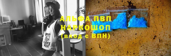 индика Дмитровск